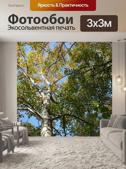 Фотообои Береза