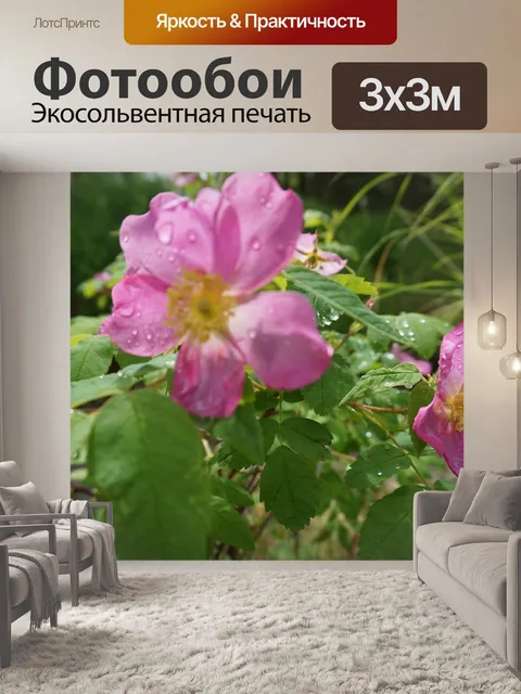 Фотообои Цветы