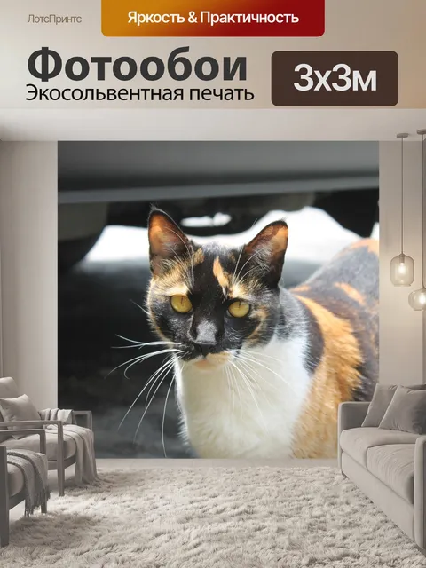 Фотообои Природа