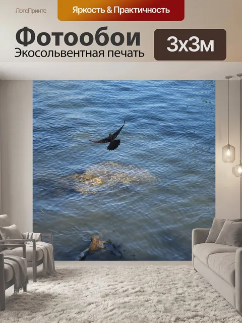 Фотообои Птица