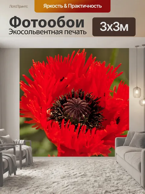 Фотообои маки