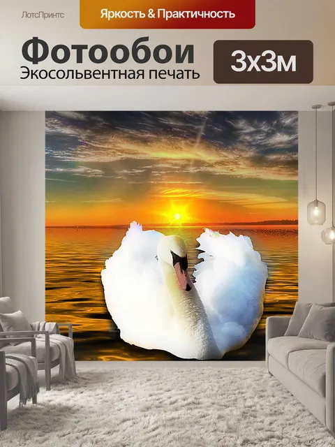 Фотообои Фон