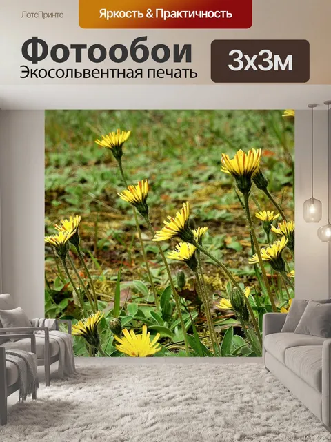 Фотообои Цветы