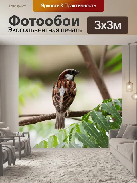 Фотообои Птицы