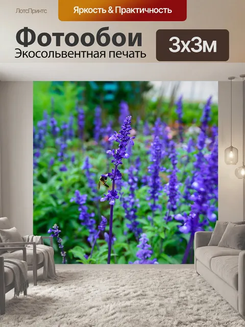 Фотообои Лаванда