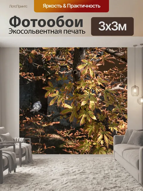 Фотообои Осень