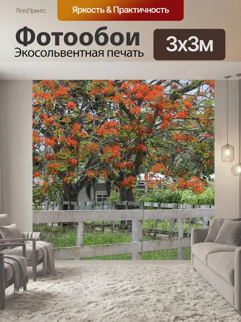 Фотообои Дерево