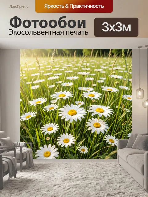 Фотообои Ромашки в солнечном лугу