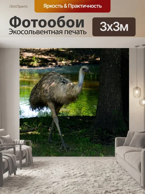 Фотообои Эму