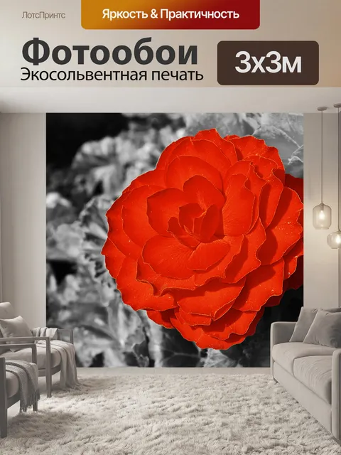 Фотообои Красный цветок