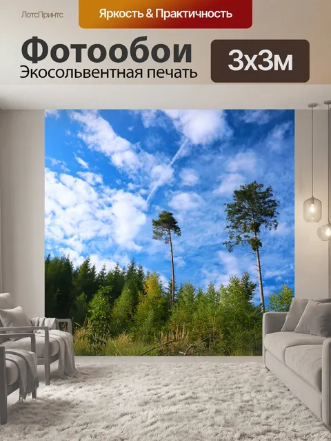 Фотообои Лес