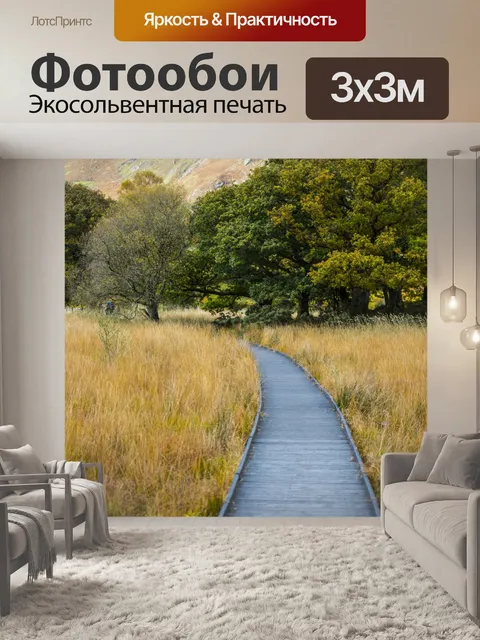 Фотообои Деревянный тротуар и трава Осень