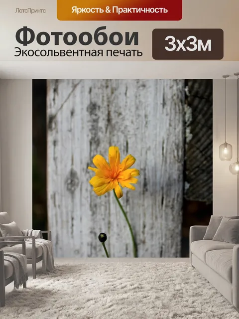 Фотообои Контраст