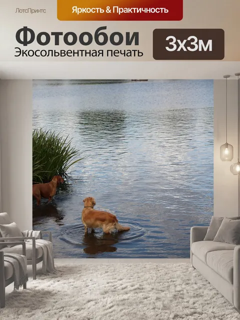 Фотообои Собаки