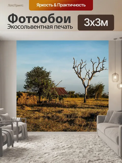 Фотообои Мертвое дерево, силуэт дерева