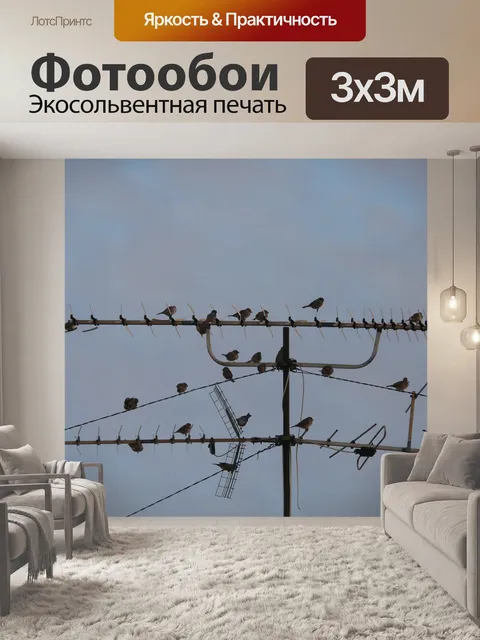 Фотообои Антенна