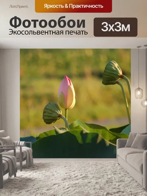 Фотообои Лепестки