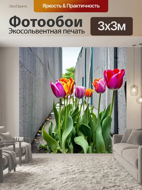 Фотообои крупным планом тюльпаны