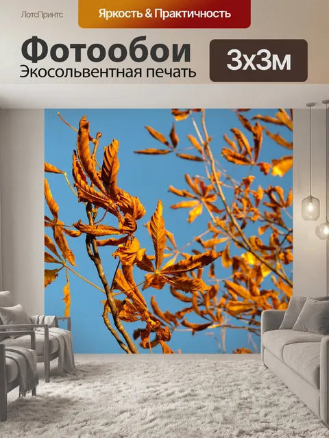 Фотообои Осенние листья