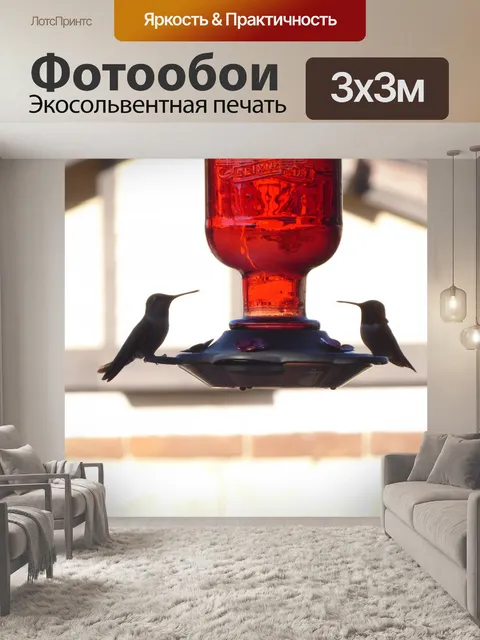 Фотообои Два кормления колибри