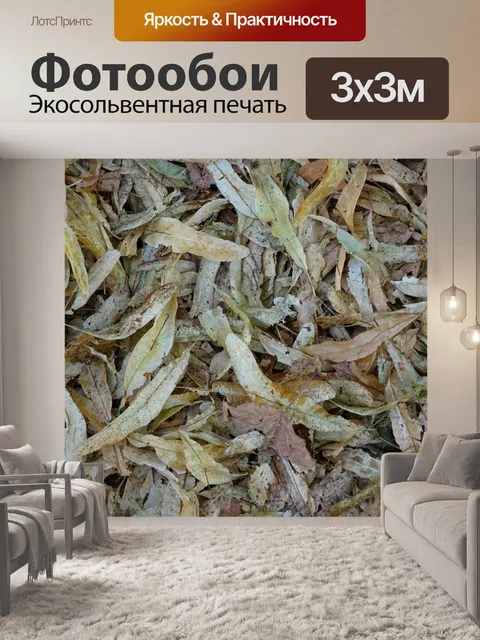 Фотообои Фон мертвых листьев
