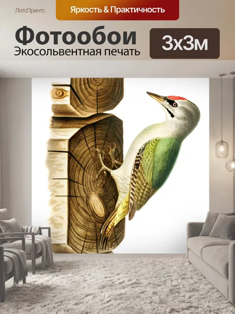 Фотообои Седоголовый дятел