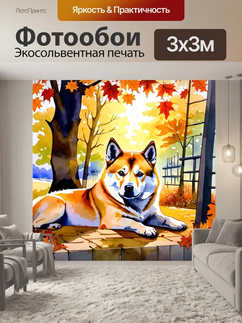 Фотообои мягкий свет заката освещает уютный уголок