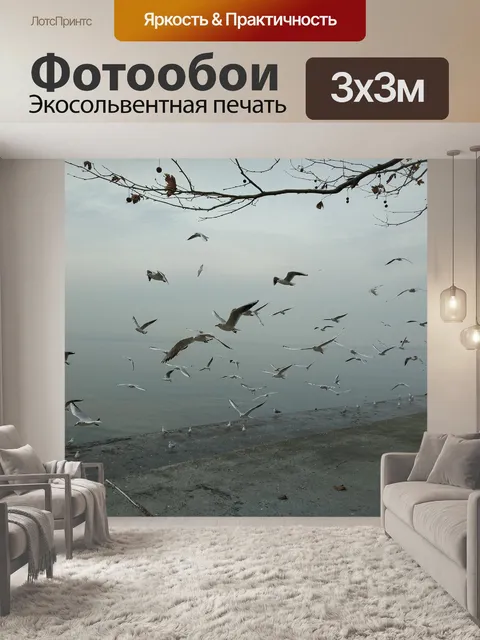 Фотообои Чайки