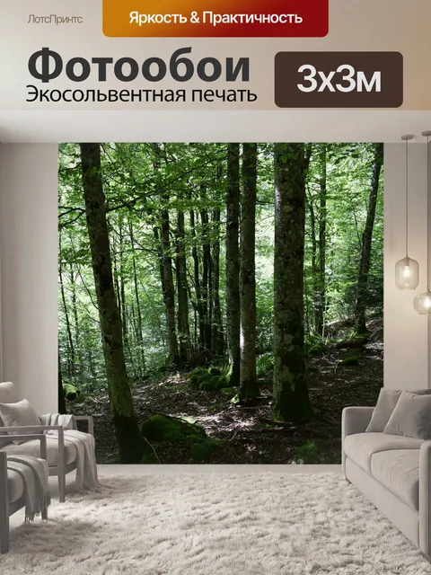 Фотообои Лес