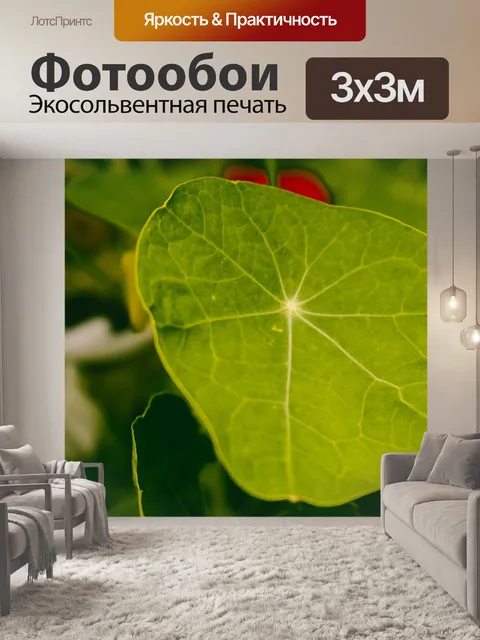 Фотообои Лист