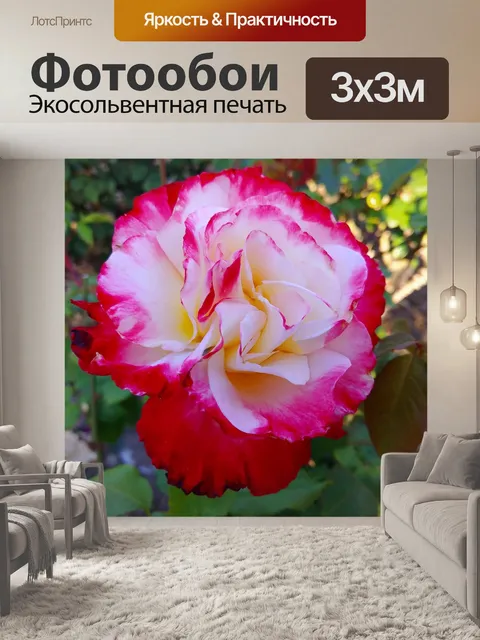 Фотообои Деревья
