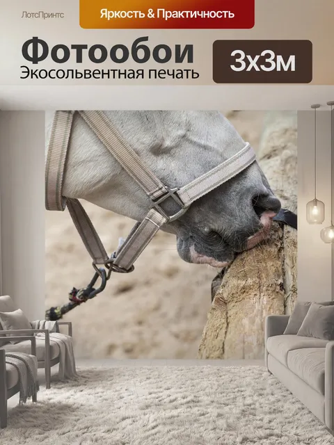 Фотообои Лошадь