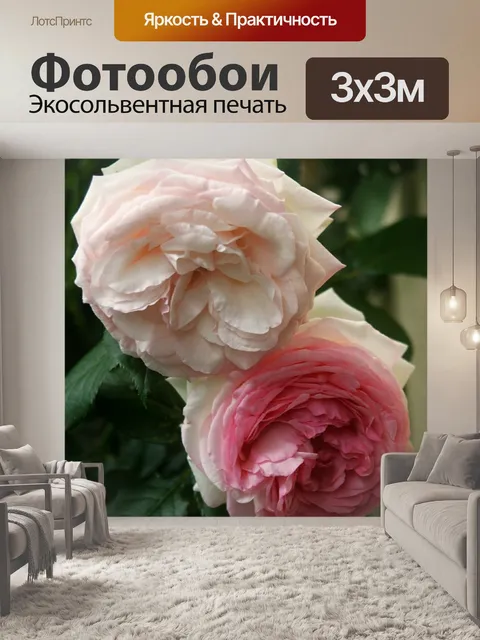 Фотообои Роза