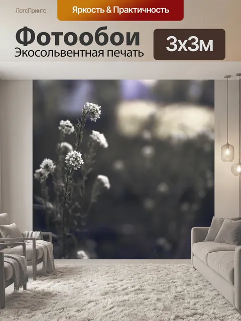 Фотообои Седой алиссум