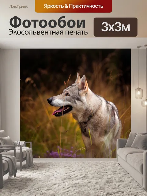 Фотообои Луг