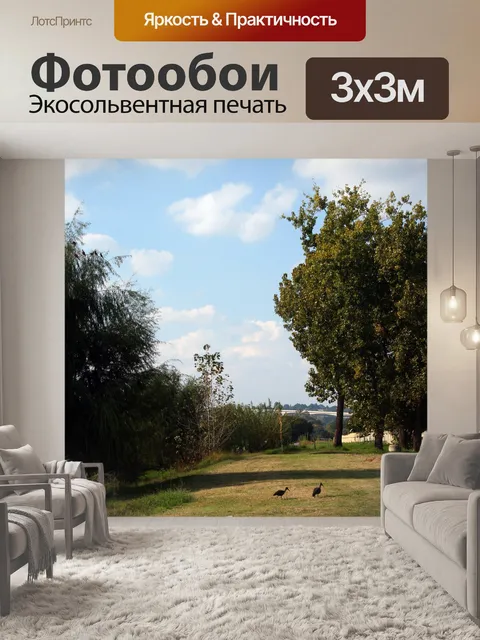 Фотообои птицы, прогуливающиеся в парке