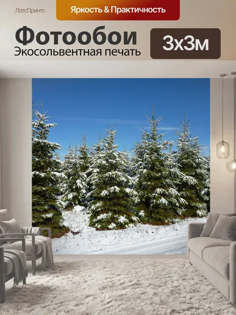 Фотообои Spruce Grove