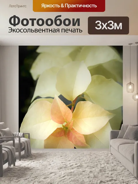 Фотообои Лист