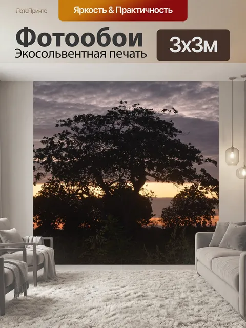 Фотообои Растительность