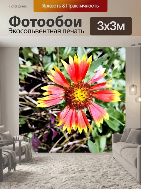 Фотообои Цветок
