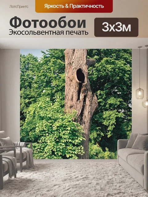 Фотообои Ствол