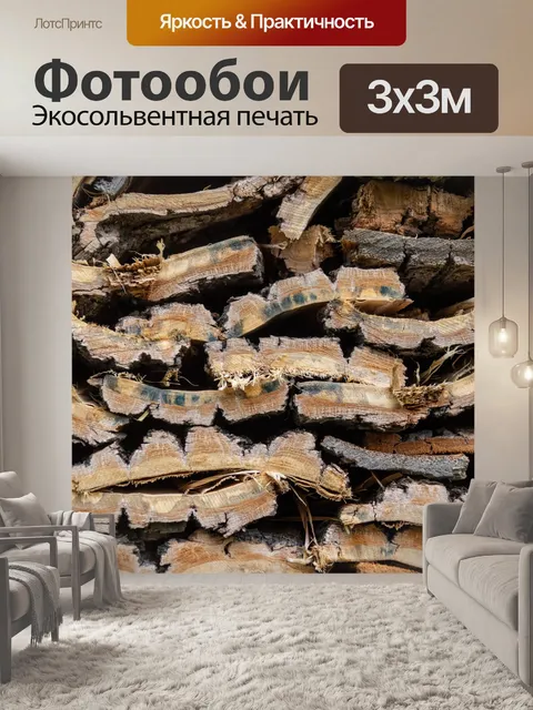 Фотообои крупный план насекомых