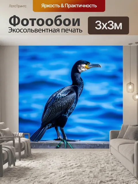 Фотообои Морская птица на причале