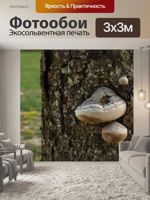 Фотообои Дерево