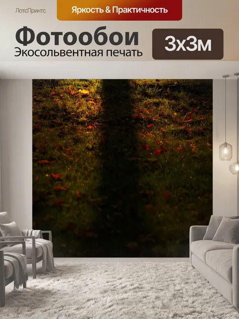 Фотообои Трава