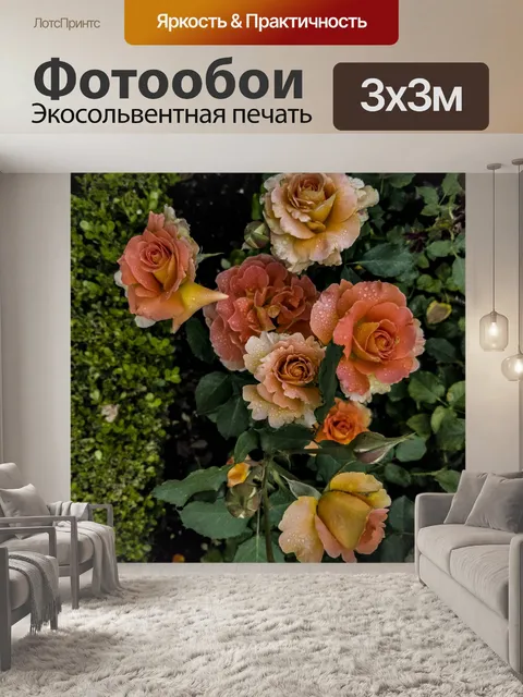 Фотообои Оранжевые розы в саду