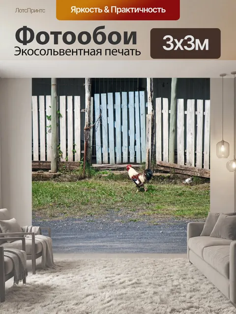 Фотообои петух на газоне