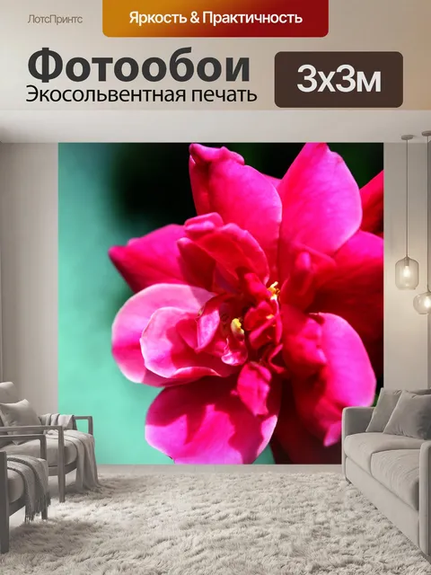 Фотообои Красный цветок 2