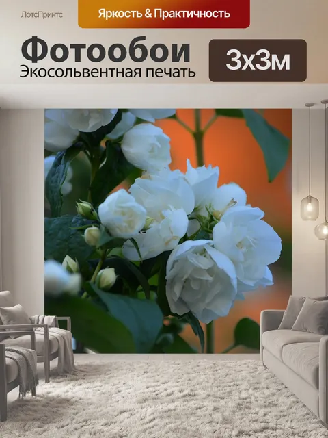Фотообои Цветы