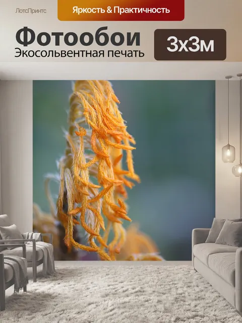 Фотообои Цветок